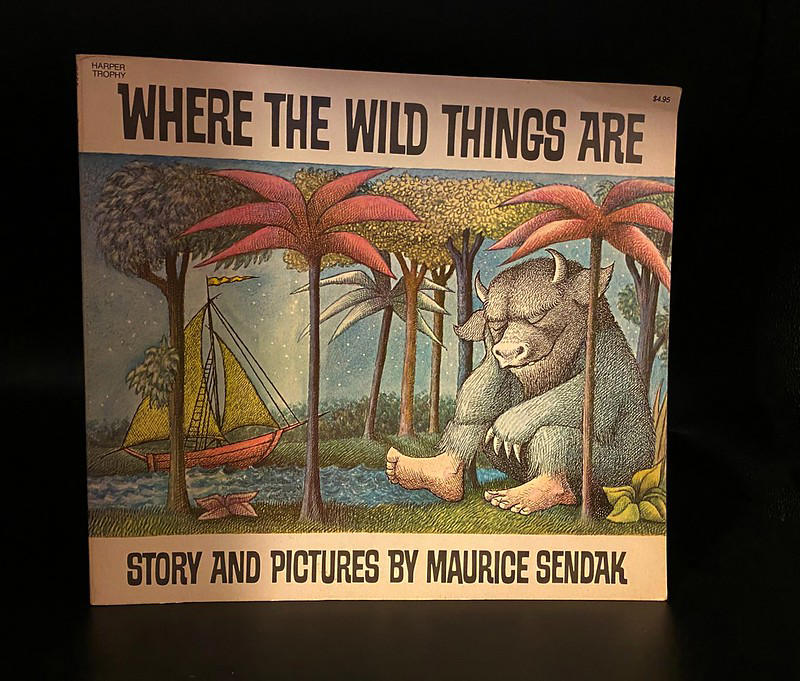 Where the Wild Things Are, The Giving Tree, Charlotte's Web, The Very Hungry Caterpillar, Goodnight Moon, The Cat in the Hat, Bridge to Terabithia, The Secret Garden, Are You My Mother?, The Phantom Tollbooth, Island of the Blue Dolphins, The Lion, the Witch and the Wardrobe, A Wrinkle in Time, The Outsiders, Harriet the Spy, Stories That Shaped Us