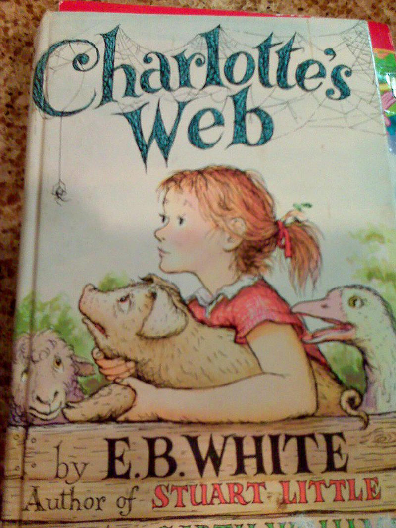 Where the Wild Things Are, The Giving Tree, Charlotte's Web, The Very Hungry Caterpillar, Goodnight Moon, The Cat in the Hat, Bridge to Terabithia, The Secret Garden, Are You My Mother?, The Phantom Tollbooth, Island of the Blue Dolphins, The Lion, the Witch and the Wardrobe, A Wrinkle in Time, The Outsiders, Harriet the Spy, Stories That Shaped Us