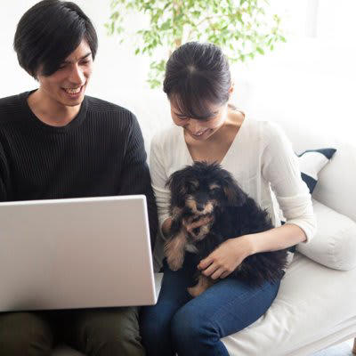 犬が『膝の上に乗ってくる』心理4選, 2.安心感を求めている, 3.リラックスして休みたい, 4.遊んでほしい, 犬が膝に乗ってきたときに注意すべき状況とは