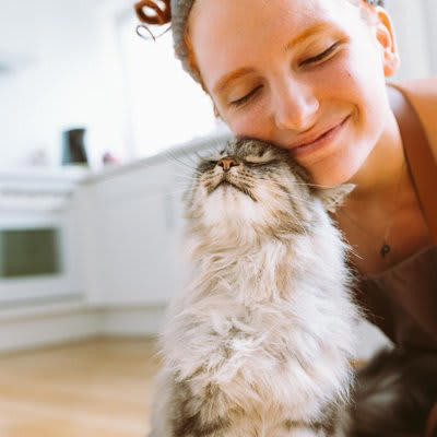1.猫の「猫らしさ」を尊重する, 2.「安全で刺激のある環境」を提供する, 3.小さな異変を見逃さない, 4.猫の気持ちを理解できる