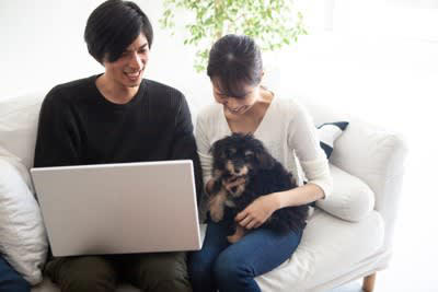 犬が『膝の上に乗ってくる』心理4選, 2.安心感を求めている, 3.リラックスして休みたい, 4.遊んでほしい, 犬が膝に乗ってきたときに注意すべき状況とは