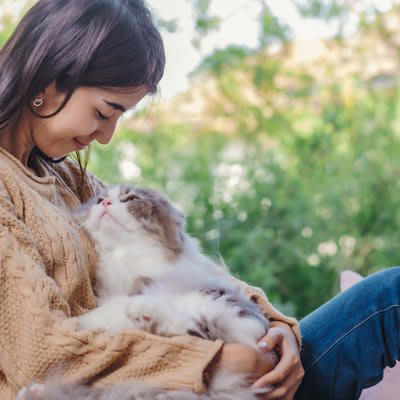 いい飼い方：完全室内飼い, 悪い飼い方：外への行き来を自由にする, いい飼い方：猫用品を充実させる, 悪い飼い方：猫のための設備がない, いい飼い方：こまめに動物病院に連れていく, 悪い飼い方：動物病院に行くのを避ける, 4.スキンシップ, いい飼い方：猫のペースに合わせる, 悪い飼い方：自分勝手に触ろうとする