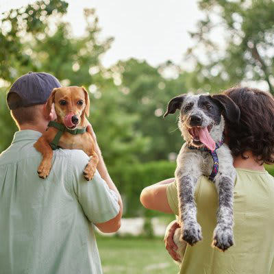 愛犬が生活の中心になることで起こりうるリスク, 1.人間関係を疎かにしてしまう, 2.家族との時間を疎かにしてしまう, 3.できないことが増えてストレスを感じてしまう