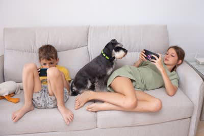 愛犬が生活の中心になることで起こりうるリスク, 1.人間関係を疎かにしてしまう, 2.家族との時間を疎かにしてしまう, 3.できないことが増えてストレスを感じてしまう