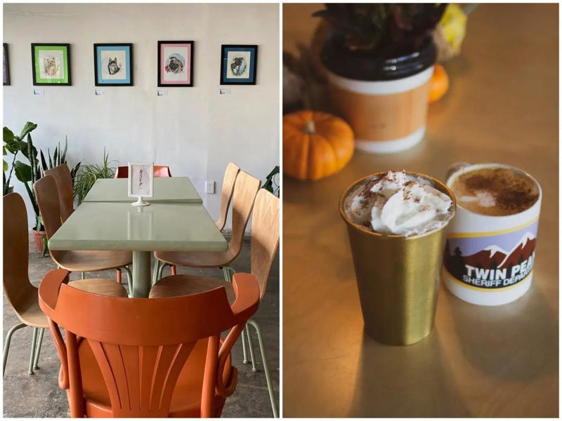 The Rhythm of Art in Every Cup, Tuesdays Are for Jazz!, The Drag Brunch: Sundays of Flavor & Partying, More Than a Café: A Community Hub