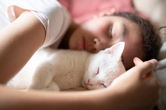 猫が「本気でイヤな人」にだけ見せる4つの行為, 1.後ずさりして威嚇する, 2.引っ掻いたり噛みついたりする, 3.尻尾を左右に激しく振る, 4.大きな音・急な動きに敏感に反応, どうしてそんなに嫌われるの？猫が心を閉ざす理由を解説, 大きな声や突然の音, 強引なスキンシップ