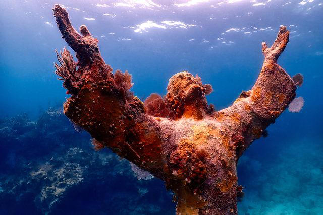 The Seas Around Islamorada, Christ of the Abyss at John Pennekamp Coral Reef State Park, Bahia Honda State Park, The Caribbean Club, Robbie's, Key Largo Fisheries, Pierre’s Restaurant, Dry Tortugas National Park, Alligator Reef Sanctuary Preservation Area, Founders Park