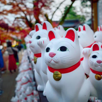 猫にまつわる伝説や伝承がある神社仏閣4選, 1.豪徳寺（東京都）, 2.今戸神社（東京都）, 3.猫寺 雲林寺（山口県）, 4.檀王法林寺（京都府）, 猫の御朱印がもらえる神社, 宝珠院（東京都）, 猿田彦神社（三重県）, 大将軍八神社（京都府）