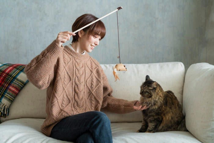 『ストレスでダメージを受けている猫』に起きる異変4選, 1.攻撃的・破壊的になる, 2.食欲不振、もしくは過食, 3.過剰にグルーミングをする, 猫のストレスを溜めないようにする、解決法は？, 生活環境を安定させる, 適度な運動と遊びの時間, コミュニケーションの充実, 環境エンリッチメントを意識する