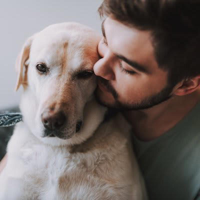 犬に『依存してしまう人』の共通点5選, 1.他に夢中になれることがない, 2.家族や友人との関係が希薄, 3.外へ出ずに家にいる時間が長い, 4.人生に強いストレスやトラウマを抱えている, 5.心配性で母性（父性）本能が強い, 犬に依存してしまうと起こりうる悪影響とは, 犬に依存しすぎないために意識すべき生活習慣