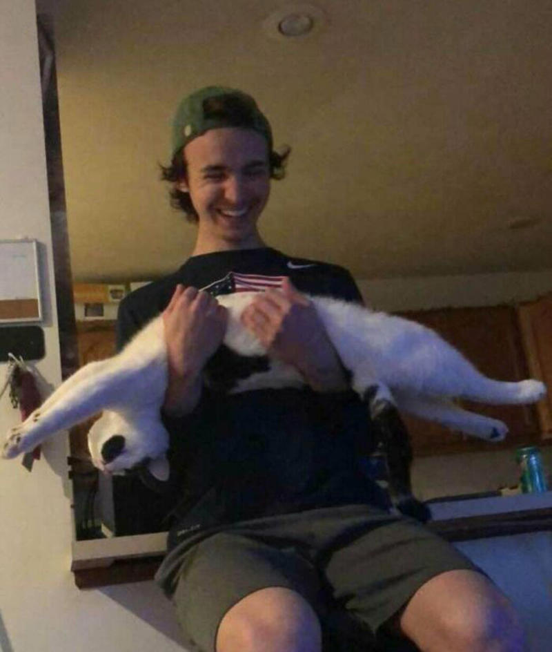 #17 Every Time You Pick Him Up He Needs To Stretch Out #1 She Yells Until I Let Her Join Me In The Bathtub, #3 Cat On Television, #5 She’ll Hold This Pose Until You Pet Her…, #7 Liquid Cat, #9 I Think He Wants To Come Inside, #11 Just Watchin' TV, #13 What Did I Do To Merit This, #15 We've Adopted An Idiot. A Dramatic Idiot, #17 Every Time You Pick Him Up He Needs To Stretch Out, #21 I Just Can't With Noodle's Face, #25 I Prefer Napkin, #27 He Just Fell Asleep Like This, #29 He Sleeps Like A Thanksgiving Turkey, #31 It's What You Get For Being Greedy, #35 Why Are Cats Always Weirdos When We're In The Bathroom, #37 Hello Ladies, Welcome To The Penthouse, #39 Our Cat Thinks She's A Penguin, #41 Mr. Toonses, Sitting Around The House, Judging Everyone