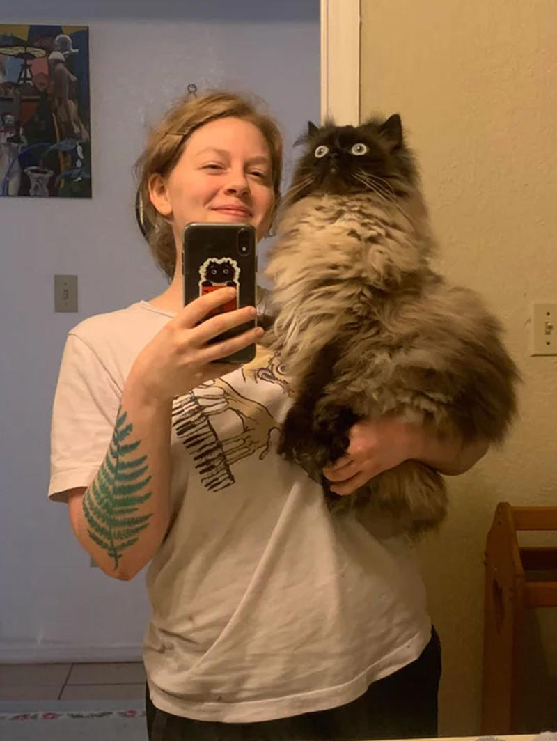 #21 I Just Can't With Noodle's Face #1 She Yells Until I Let Her Join Me In The Bathtub, #3 Cat On Television, #5 She’ll Hold This Pose Until You Pet Her…, #7 Liquid Cat, #9 I Think He Wants To Come Inside, #11 Just Watchin' TV, #13 What Did I Do To Merit This, #15 We've Adopted An Idiot. A Dramatic Idiot, #17 Every Time You Pick Him Up He Needs To Stretch Out, #21 I Just Can't With Noodle's Face, #25 I Prefer Napkin, #27 He Just Fell Asleep Like This, #29 He Sleeps Like A Thanksgiving Turkey, #31 It's What You Get For Being Greedy, #35 Why Are Cats Always Weirdos When We're In The Bathroom, #37 Hello Ladies, Welcome To The Penthouse, #39 Our Cat Thinks She's A Penguin, #41 Mr. Toonses, Sitting Around The House, Judging Everyone