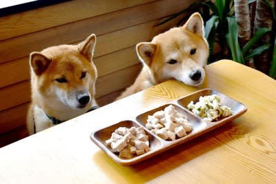 犬の手作りご飯のメリット・デメリットとは？, 犬に手作りご飯を与えるメリット, 犬に手作りご飯を与えるデメリット, 犬に絶対NGな『手作りご飯』の与え方, 1.犬が食べてはいけない食材を与える, 2.犬の好きな食材ばかり与える, 3.調味料で味付けする, 4.調理の仕方や衛生管理を怠る, 犬にとって理想的な食事とは？