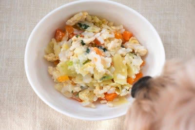 犬の手作りご飯のメリット・デメリットとは？, 犬に手作りご飯を与えるメリット, 犬に手作りご飯を与えるデメリット, 犬に絶対NGな『手作りご飯』の与え方, 1.犬が食べてはいけない食材を与える, 2.犬の好きな食材ばかり与える, 3.調味料で味付けする, 4.調理の仕方や衛生管理を怠る, 犬にとって理想的な食事とは？