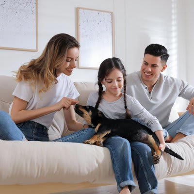 犬を飼うことで家族にあらゆる影響を与える, 犬を飼うと『人生が変わる』と言われている理由5選, 1.生活リズムが規則正しくなる, 2.家族との会話や交流が増える, 3.外出する機会が増えて交友関係が広がることも, 4.人間性がより豊かに育まれる, 5.生きがいや楽しみが増えて幸福度が上がる