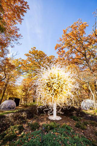 Start at the Square, A Feast for the Senses, Museums and Mexican Food, Explore Outdoors, Stay Awhile