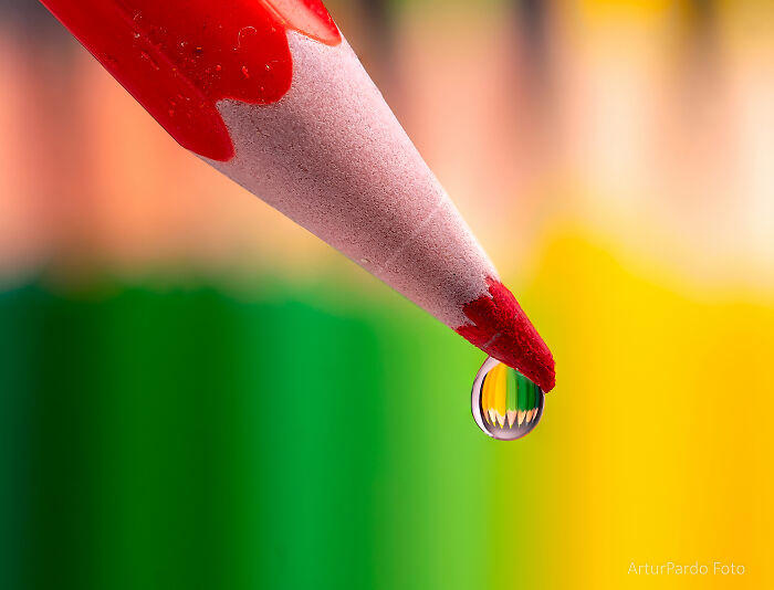 #21 Hobby And Leisure - By Artur Pardo. Color Pencil Refraction #1 Animals - By Grzegorz Bukalski. Winter Nap, #3 People – Best Entry By Josef Hinterleitner. Unser Lied, #5 Animals – Dikye Ariani. Mother's Love, #7 Animals - By Doris Dörfler-Asmus. Ohhhh Nein, #9 Animals - By Tilly Meijer. Kiekeboe, #11 Architecture And Technology - By Tadej Turk. Morning In Ljubljana, #13 Nature – Best Entry By Andreas Wolden. Isfjell, #15 Animals – Robert Sommer. Einzelzimmer Frei, #17 Sport – Category Winner By Andreas Bauer. Straßenfußball, #19 Aerial Photos - By Dani Guindo. Divided, #21 Hobby And Leisure - By Artur Pardo. Color Pencil Refraction, #23 Architecture And Technology - By Giorgio Pizzocaro. Shadows, #25 Sport – Best Entry By Simon Alvarez Foucher. Basket Acrobatique, #27 Travel & Culture – Best Entry By Edgard De Bono. Dances