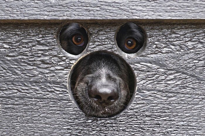 #9 Animals - By Tilly Meijer. Kiekeboe #1 Animals - By Grzegorz Bukalski. Winter Nap, #3 People – Best Entry By Josef Hinterleitner. Unser Lied, #5 Animals – Dikye Ariani. Mother's Love, #7 Animals - By Doris Dörfler-Asmus. Ohhhh Nein, #9 Animals - By Tilly Meijer. Kiekeboe, #11 Architecture And Technology - By Tadej Turk. Morning In Ljubljana, #13 Nature – Best Entry By Andreas Wolden. Isfjell, #15 Animals – Robert Sommer. Einzelzimmer Frei, #17 Sport – Category Winner By Andreas Bauer. Straßenfußball, #19 Aerial Photos - By Dani Guindo. Divided, #21 Hobby And Leisure - By Artur Pardo. Color Pencil Refraction, #23 Architecture And Technology - By Giorgio Pizzocaro. Shadows, #25 Sport – Best Entry By Simon Alvarez Foucher. Basket Acrobatique, #27 Travel & Culture – Best Entry By Edgard De Bono. Dances