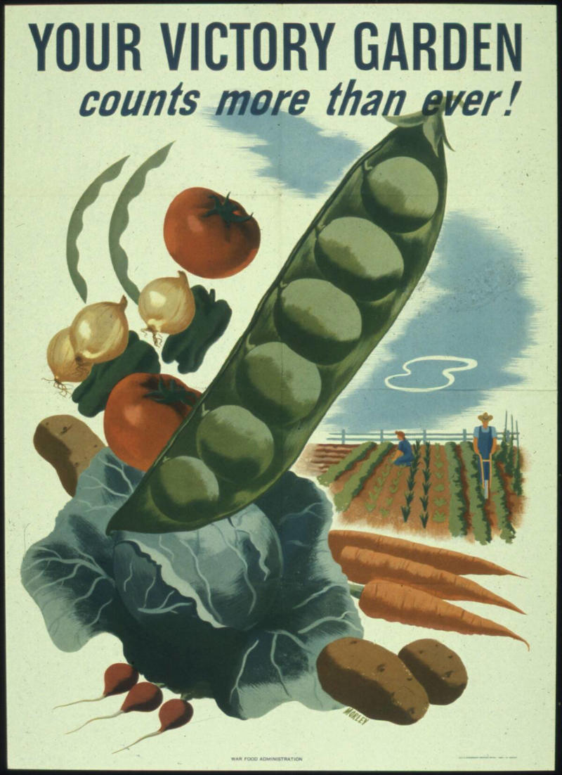 Victory Gardens: Growing Your Own Sustenance A Bite of History: The Origins of Food Rations, The Necessity of Rationing During Wartime, How Ration Books Became a Household Staple, Altered Taste Buds: The New Normal in Flavors, The Rise of Canned and Preserved Foods, Creative Cooking: Making the Most of Limited Ingredients, The Advent of Substitute Ingredients, How Rationing Encouraged a Waste-Not-Want-Not Mentality, Victory Gardens: Growing Your Own Sustenance, The Birth of Nutritional Guidelines and Standards, The Influence of War Rations on Modern Convenience Foods, The Evolution of Packaged and Processed Foods, The Lasting Popularity of Certain Wartime Recipes