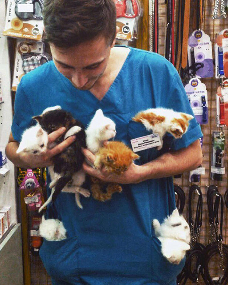 #39 I'm A Vet. I Love My Profession #3 Proud Mum, #5 German Shepherd With Golden Retriever Mix. Cuteness Overload, #7 Vet's New Assistant, #9 My Friend's Dog Ate A Pot Brownie Yesterday, #11 This Vet With A Kitty In Her Pocket, #17 My Coworker Brought In Her Baby Goat, Matilda. 2.3 Lbs, #23 Wolf Pupper That Came Into The Veterinary Clinic, #27 Adorable Puppy Visits Vet, #29 Bone Went To The Vet And Passed All His Yearly Checkups, #31 My Vet Having Some Fun With A Litter Of Great Danes, #37 This Handsome Special Needs Kitten Is Now In Foster Care, #39 I'm A Vet. I Love My Profession, #47 A Teeny Weeny Shoulder Kitten (Another Reason To Love My Job)