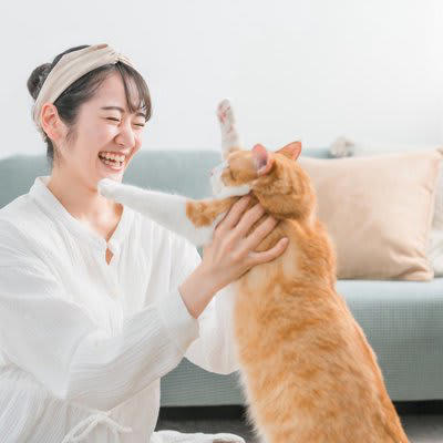 1.不安定な体勢で抱っこされたから, 2.強引に抱っこしたから, 3.嫌いなニオイがするから, 4.嫌な経験と結びついているから