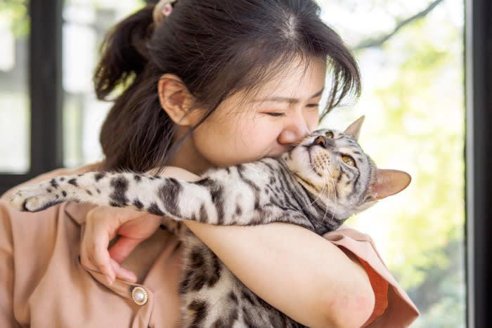 1.不安定な体勢で抱っこされたから, 2.強引に抱っこしたから, 3.嫌いなニオイがするから, 4.嫌な経験と結びついているから