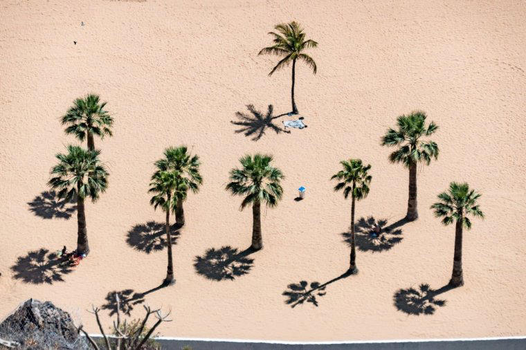 Otroverts okay on a desert island? Rarely tiring from one-on-one socialising, Do not thrive in big social settings, 'Meek rebellion', In the workplace, hobbies and social life, On the outside looking in, Otroverts okay on a desert island?, Friendship in adolescence, Friendship in adulthood