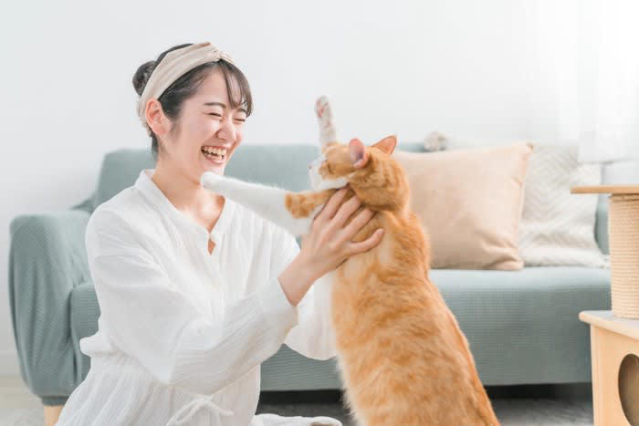 1.不安定な体勢で抱っこされたから, 2.強引に抱っこしたから, 3.嫌いなニオイがするから, 4.嫌な経験と結びついているから