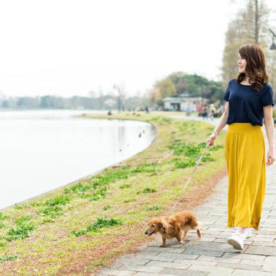 犬が死ぬかもしれない「散歩方法」5選, 1.暑い時間帯の散歩, 2.寒い時間帯・雨の日の散歩, 3.リードを付けない散歩, 4.伸縮リードの不適切な使用, 5.長時間の散歩, 散歩中に潜む危険, 安全に散歩をするための対策法