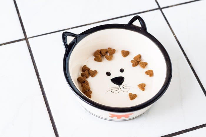 猫のご飯ちょこっと残しの心理5選, 1.もう満足したから, 2.野生時代からの食習慣, 3.食事中に気分が変わった, 4.加齢による食事量の変化, 5.健康や体調の変化, 残したご飯はそのまま置いておいたほうがいい？