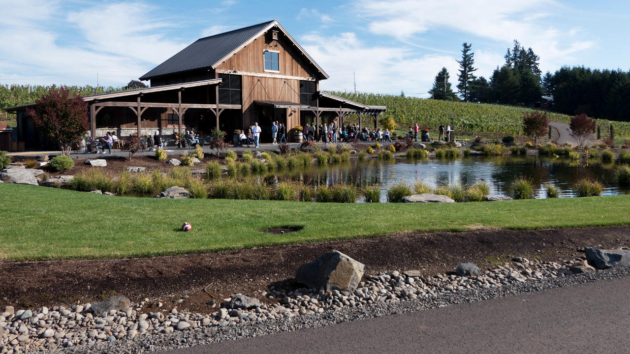 The Rise of Oregon’s Wine Country, The Allure of Oregon’s Terroir, A Comparison with Napa Valley, Exploring Oregon’s Wine Regions, Planning Your Visit