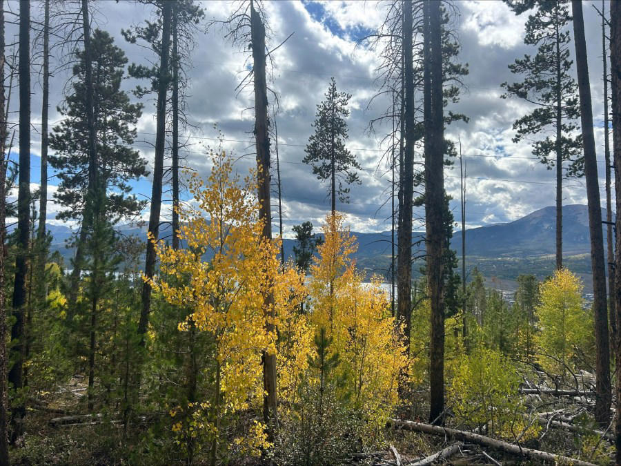 Aspen, Breckenridge area, Rocky Mountain National Park, Silverthorne and Dillon , East of Telluride, Beware of traffic, Denver, Colorado weather resources