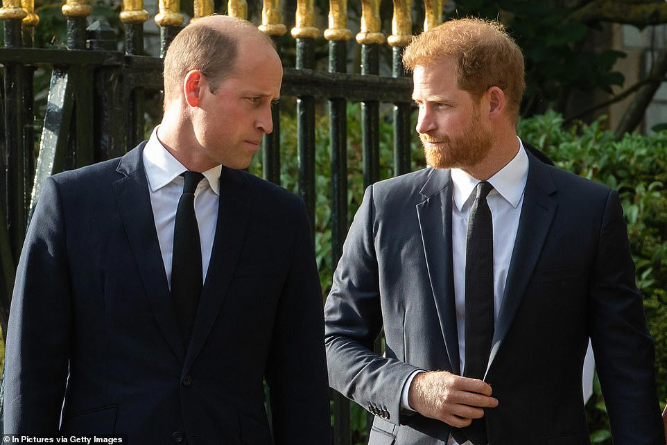 Opinion: Why Charles is said to be less irritated by Harry than William