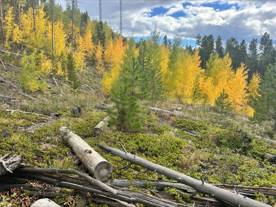Aspen, Breckenridge area, Rocky Mountain National Park, Silverthorne and Dillon , East of Telluride, Beware of traffic, Denver, Colorado weather resources