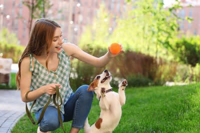 犬が「ソワソワ」してしまう5つの理由, 2.ストレスや不安, 様子がおかしいときに注意すべき点, 犬を落ち着かせる方法