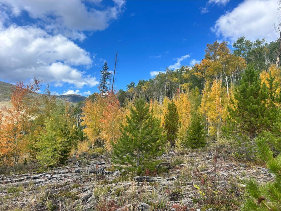 Aspen, Breckenridge area, Rocky Mountain National Park, Silverthorne and Dillon , East of Telluride, Beware of traffic, Denver, Colorado weather resources
