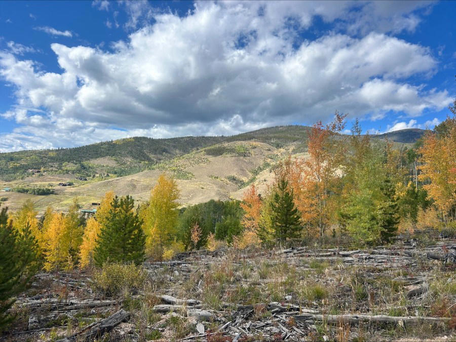 Aspen, Breckenridge area, Rocky Mountain National Park, Silverthorne and Dillon , East of Telluride, Beware of traffic, Denver, Colorado weather resources