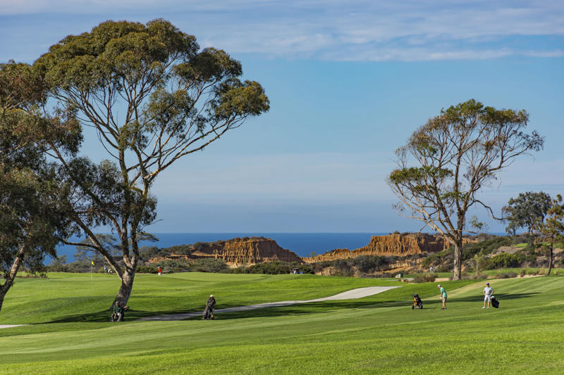 Torrey Pines State Natural Reserve, Museum of Contemporary Art San Diego, San Diego Zoo, Torrey Pines Golf Course, Belmont Park, Balboa Park, La Jolla Cove, Little Italy, Mission Basilica San Diego de Alcalá, Petco Park, Sunset Cliffs, Del Mar Racetrack, USS Midway Museum, Cabrillo National Monument, Barrio Logan, Coronado, Cedros Avenue Design District, North Park, Downtown Oceanside, Torrey Pines Gliderport, The Rady Shell at Jacobs Park