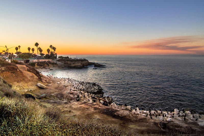 Torrey Pines State Natural Reserve, Museum of Contemporary Art San Diego, San Diego Zoo, Torrey Pines Golf Course, Belmont Park, Balboa Park, La Jolla Cove, Little Italy, Mission Basilica San Diego de Alcalá, Petco Park, Sunset Cliffs, Del Mar Racetrack, USS Midway Museum, Cabrillo National Monument, Barrio Logan, Coronado, Cedros Avenue Design District, North Park, Downtown Oceanside, Torrey Pines Gliderport, The Rady Shell at Jacobs Park