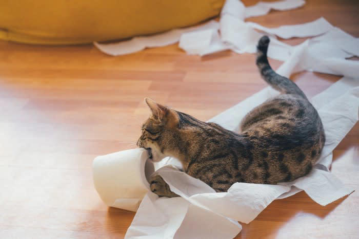 1.猫の好きなところを撫でる, 2.ゆっくりとまばたきする, 4.短く分かりやすく叱る, 5.環境を工夫して“やめてほしい”を伝える, 6.あえて反応しない