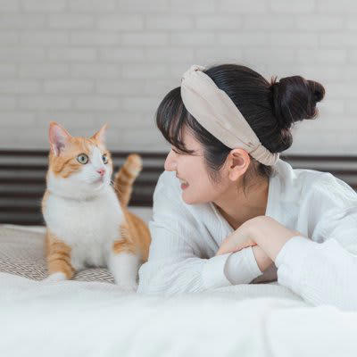 1.猫の好きなところを撫でる, 2.ゆっくりとまばたきする, 4.短く分かりやすく叱る, 5.環境を工夫して“やめてほしい”を伝える, 6.あえて反応しない
