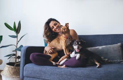 犬が飼い主を『喜ばせたい』と思っているときにする行動5選, 1.得意な芸を積極的に進んでする, 2.お気に入りのおもちゃを持ってくる, 3.頭や体を擦り付けてくる, 4.飼い主の顔周りを舐める, 5.その他以前飼い主が喜んだ行動を実行する, 「喜ばせたい」と思ってもらうために絆を深める方法