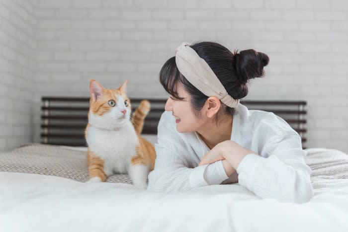 1.猫の好きなところを撫でる, 2.ゆっくりとまばたきする, 4.短く分かりやすく叱る, 5.環境を工夫して“やめてほしい”を伝える, 6.あえて反応しない