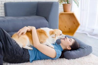 犬が飼い主を『喜ばせたい』と思っているときにする行動5選, 1.得意な芸を積極的に進んでする, 2.お気に入りのおもちゃを持ってくる, 3.頭や体を擦り付けてくる, 4.飼い主の顔周りを舐める, 5.その他以前飼い主が喜んだ行動を実行する, 「喜ばせたい」と思ってもらうために絆を深める方法
