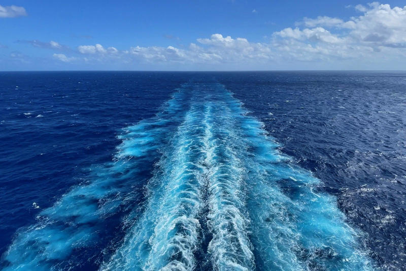 Denied boarding for not having proof of vaccination, No visa for India leads to deportation and a missed Viking cruise, Too pregnant to cruise, Arriving too late to board the ship, Bottom line