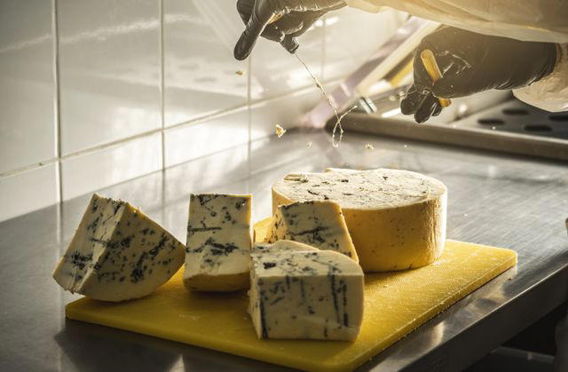 Parmigiano-Reggiano DOP, Grana Padano DOP, Pecorino Romano DOP, Mozzarella, Mascarpone, Asiago DOP, Fontina DOP, Piave DOP, Taleggio DOP, Provolone, Gorgonzola DOP