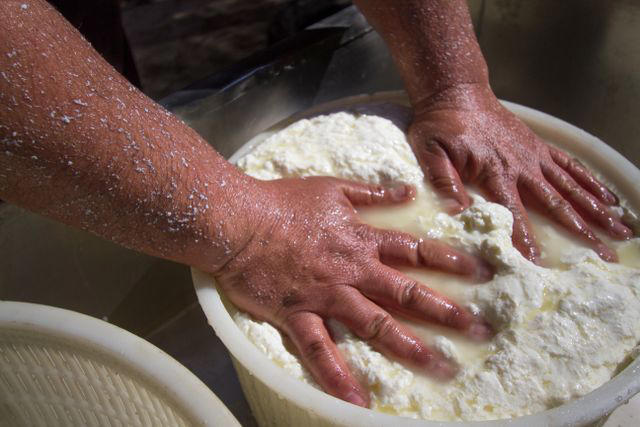 Parmigiano-Reggiano DOP, Grana Padano DOP, Pecorino Romano DOP, Mozzarella, Mascarpone, Asiago DOP, Fontina DOP, Piave DOP, Taleggio DOP, Provolone, Gorgonzola DOP
