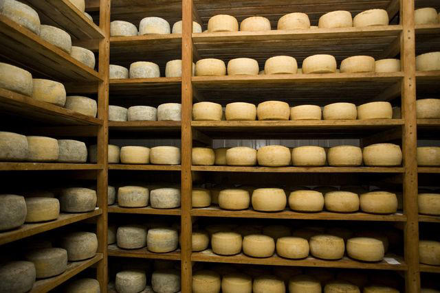 Parmigiano-Reggiano DOP, Grana Padano DOP, Pecorino Romano DOP, Mozzarella, Mascarpone, Asiago DOP, Fontina DOP, Piave DOP, Taleggio DOP, Provolone, Gorgonzola DOP