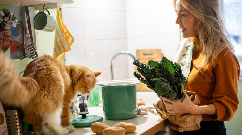 Helping To Find The Right Size Pot For A Recipe, Only The Finest Chefs Know The Importance Of Pre-Warming A Pot, You Just Fold In The Cheese., This Cupboard Is A Disaster., This Cat Holds The Coveted Position Of Juice Supervisor, Seriously, WHERE Is The Cinnamon?