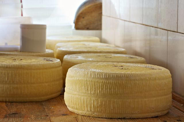 Parmigiano-Reggiano DOP, Grana Padano DOP, Pecorino Romano DOP, Mozzarella, Mascarpone, Asiago DOP, Fontina DOP, Piave DOP, Taleggio DOP, Provolone, Gorgonzola DOP